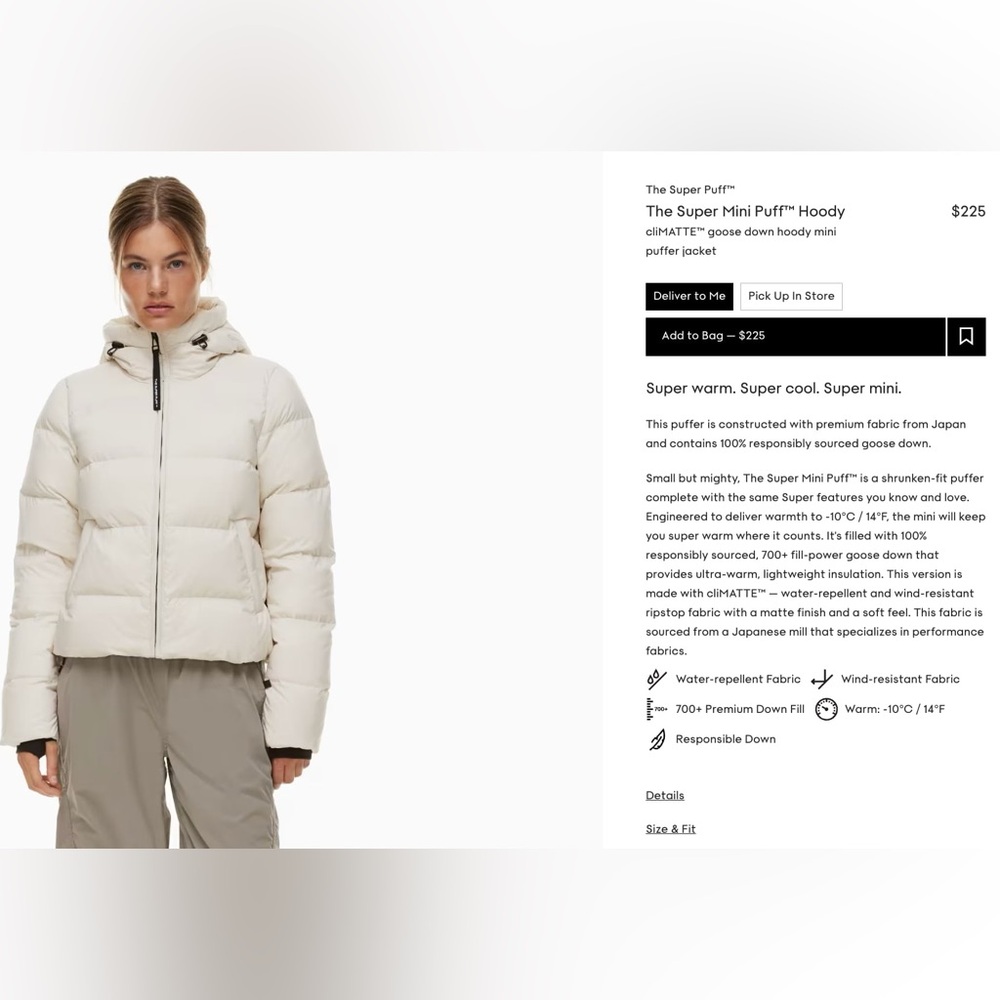 Aritzia The Super Mini Puff Hoody